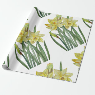 Waterverf Daffodils Flower Portrait Illustratie Cadeaupapier