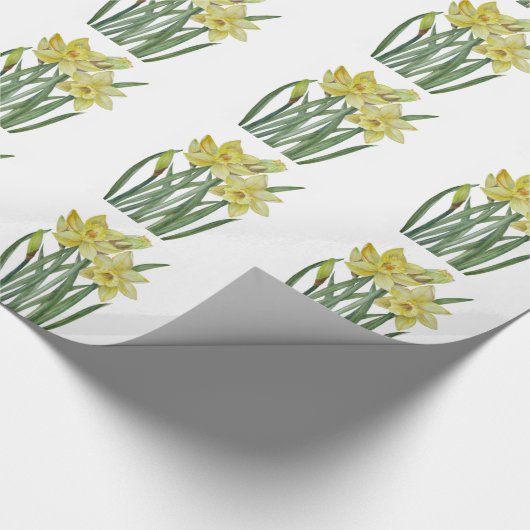 Waterverf Daffodils Flower Portrait Illustratie Cadeaupapier (Hoek)