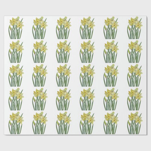 Waterverf Daffodils Flower Portrait Illustratie Cadeaupapier (Vlak)