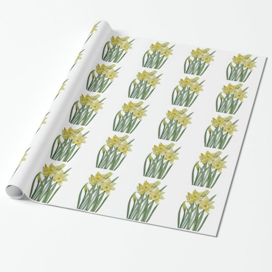 Waterverf Daffodils Flower Portrait Illustratie Cadeaupapier (Uitgerold)