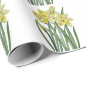 Waterverf Daffodils Flower Portrait Illustratie Cadeaupapier (Rol Hoek)