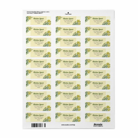 Waterverf Daffodils Flower Portrait Illustratie Etiket (Full Sheet)