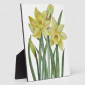 Waterverf Daffodils Flower Portrait Illustratie Fotoplaat (Zijkant)