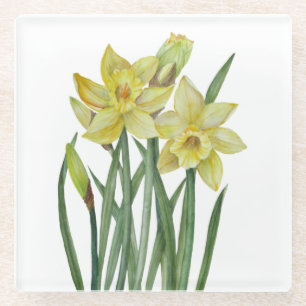 Waterverf Daffodils Flower Portrait Illustratie Glazen Onderzetter