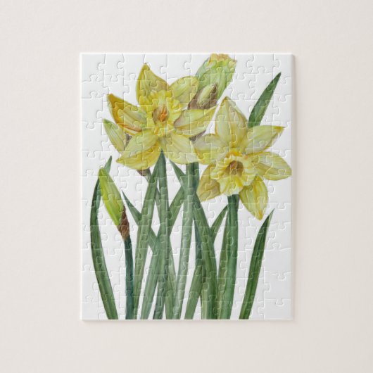 Waterverf Daffodils Flower Portrait Illustratie Legpuzzel (Verticaal)