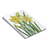 Waterverf Daffodils Flower Portrait Illustratie Notitieboek (Rechterzijde)