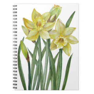 Waterverf Daffodils Flower Portrait Illustratie Notitieboek