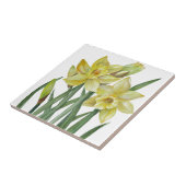 Waterverf Daffodils Flower Portrait Illustratie Tegeltje (Zijkant)