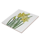 Waterverf Daffodils Flower Portrait Illustratie Tegeltje (Zijkant)