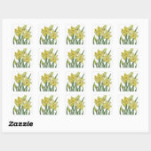 Waterverf Daffodils Flower Portrait Illustratie Vierkante Sticker (Vel)