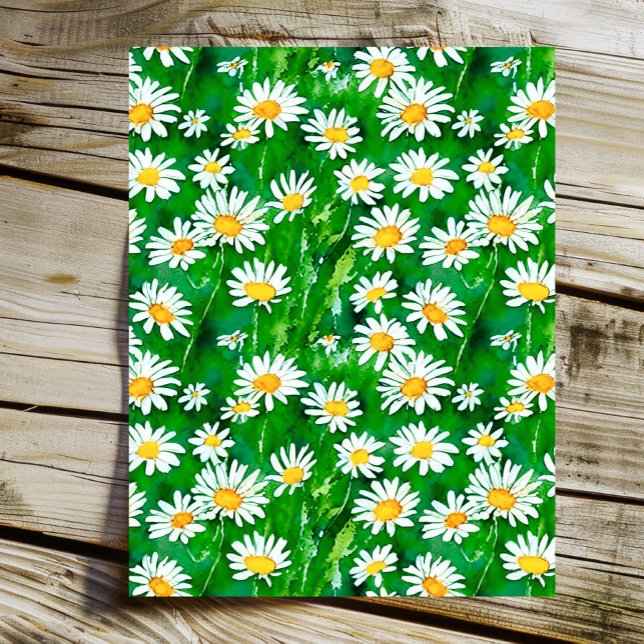 Waterverf Daisies in een Groen Veld (Creator heeft geüpload)