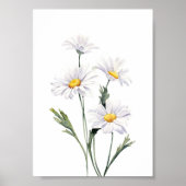 Waterverf Daisies Poster (Voorkant)