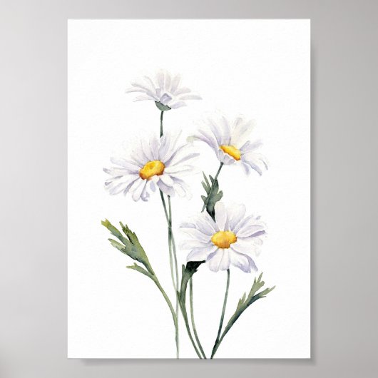 Waterverf Daisies Poster (Voorkant)