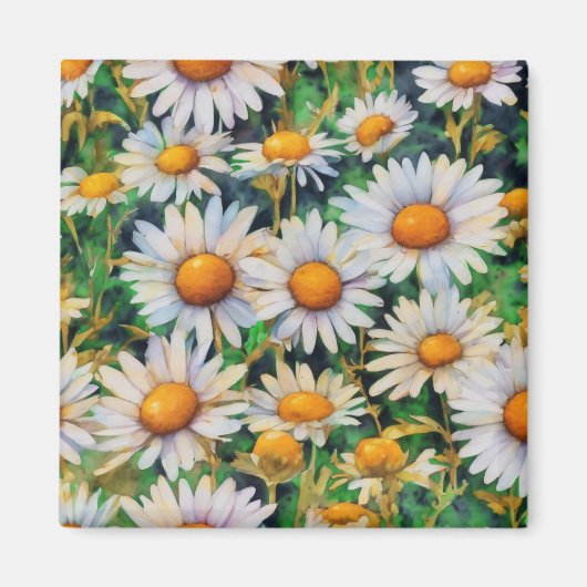 Waterverf Daisy Flowers Tuin Magneet (Voorkant)