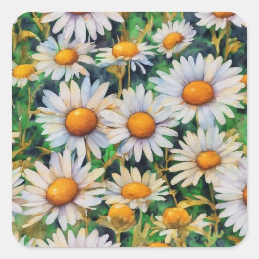 Waterverf Daisy Flowers Tuin Vierkante Sticker (Voorkant)