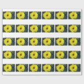 Waterverf Daisy op wit Cadeaupapier (Vlak)