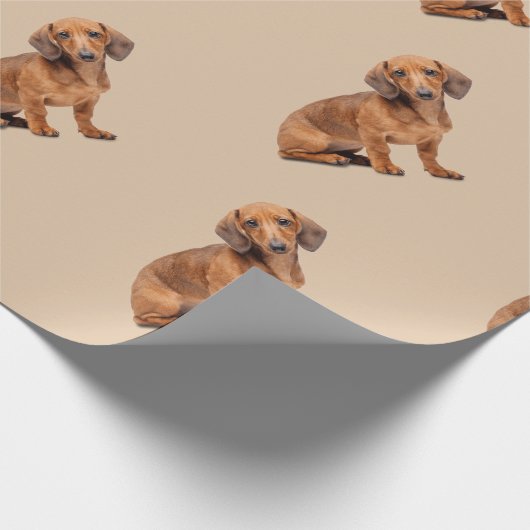 Waterverf Daschund Dog Pet Animal Cadeaupapier (Hoek)