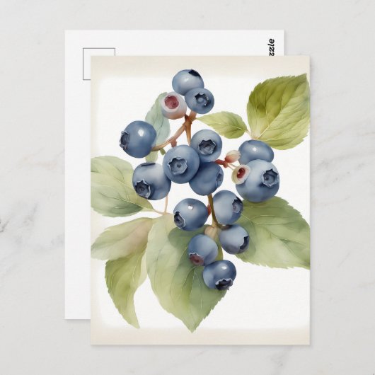 Waterverf delicate bosbessen briefkaart (Voorkant / Achterkant)