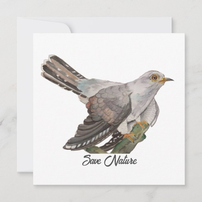 Waterverf die een koekoek schildert (Voorkant)