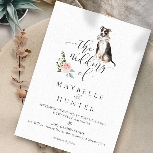 Waterverf Driekleur Pitbull Huisdier Bloem Roze Ro Kaart