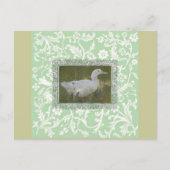 Waterverf Duck Briefkaart (Voorkant)