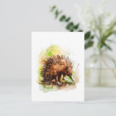 Waterverf Echidna in een natuurlijke omgeving Briefkaart (Staand voorkant)