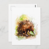 Waterverf Echidna in een natuurlijke omgeving Briefkaart (Voorkant / Achterkant)