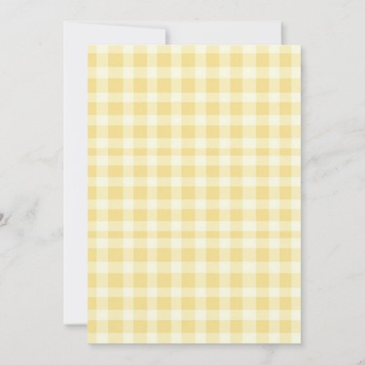 Waterverf Een Gekke Gans Sinaasappel Gingham Verja Kaart (Achterkant)