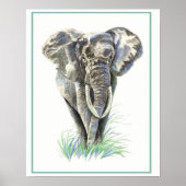 Waterverf Elephant Animal Natuur art. Poster (Voorkant)