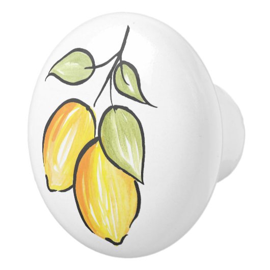 Waterverf- en inktlemmetjes keramische knop (Rechts)