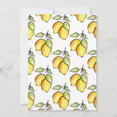 Waterverf- en inktpatronen kaart (Achterkant)