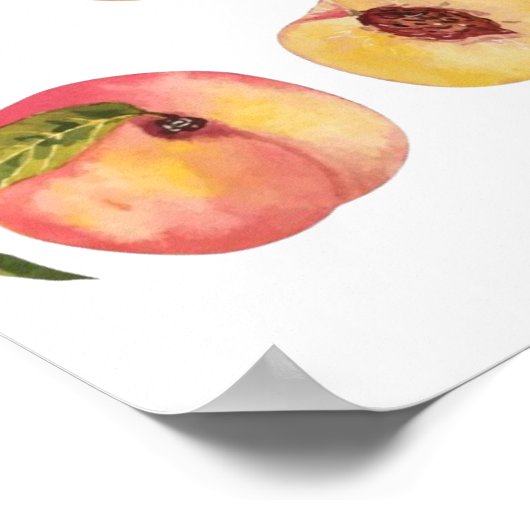 Waterverf en kleurrijke verse perzikplakjes, poster (Hoek)