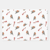Waterverf English Robin Kerstfeestay Gift Inpakpapier Vel (Voorkant 2)
