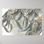 Waterverf Eucalyptus Bladeren Groene Kleur Poster (Voorkant)