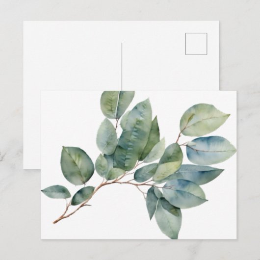 Waterverf eucalyptus groen briefkaart (Voorkant / Achterkant)