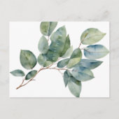 Waterverf eucalyptus groen briefkaart (Voorkant)