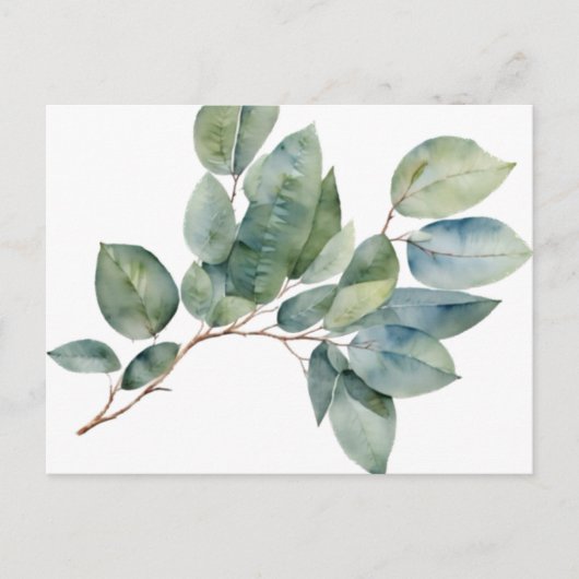 Waterverf eucalyptus groen briefkaart (Voorkant)