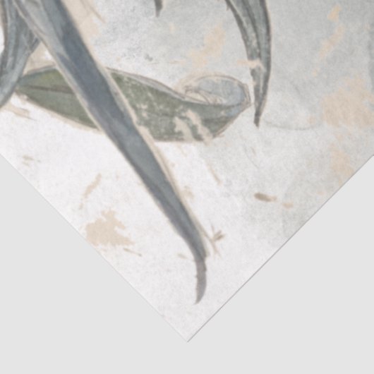 Waterverf Eucalyptus Leaves Greenery Tissuepapier (Detail)