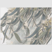 Waterverf Eucalyptus Leaves Greenery Tissuepapier (Voorkant)