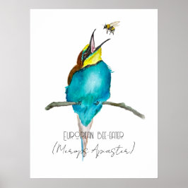 Waterverf (Europese bijeneter) Poster