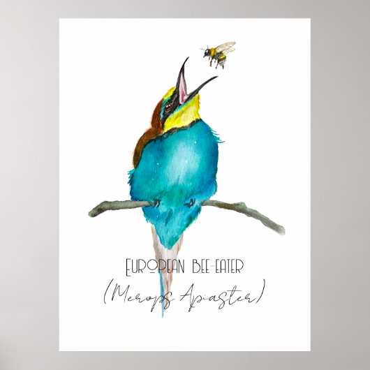Waterverf (Europese bijeneter) Poster (Voorkant)