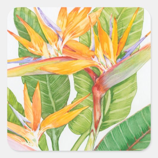 Waterverf exotische bloemen vierkante sticker (Voorkant)