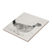  waterverf fazant vogel zwart tegeltje (Zijkant)