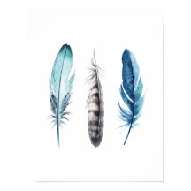 Waterverf Feathers