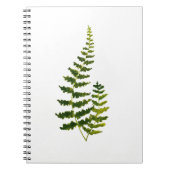 Waterverf Fern Botanische Greenery Rustic Elegant Notitieboek (Voorkant)