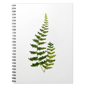 Waterverf Fern Botanische Greenery Rustic Elegant Notitieboek