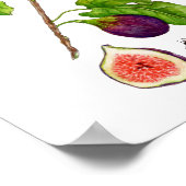 Waterverf Fig botanische  stijl Poster (Hoek)