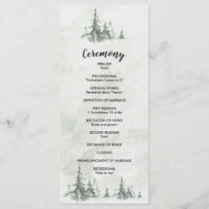 Waterverf Fir Trees Winter Wedding Programmakaart
