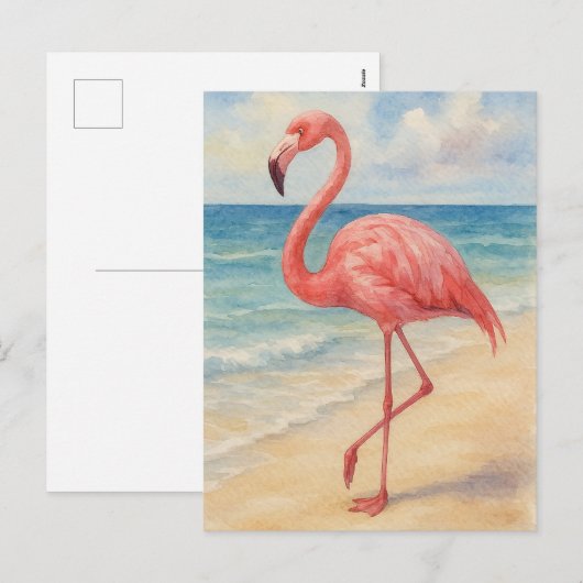 Waterverf Flamingo Beach Post Kaart (Voorkant / Achterkant)