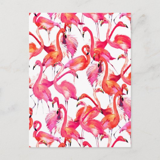 Waterverf flamingo's in Waterverven 2 Briefkaart (Voorkant)